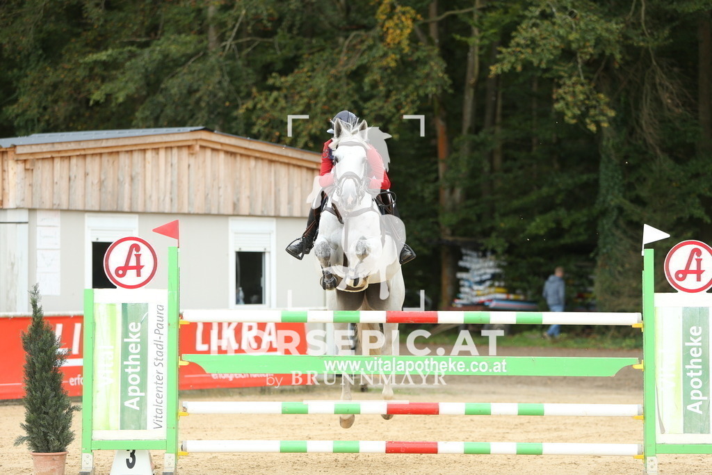 DL2Q5961 | Willkommen bei Brunnmayr - Design & Fotografie – Ihrem Spezialisten für Reitturniere und Pferdeveranstaltungen in Oberösterreich, Salzburg und Bayern! Seit über 17 Jahren sind wir leidenschaftlich dabei.