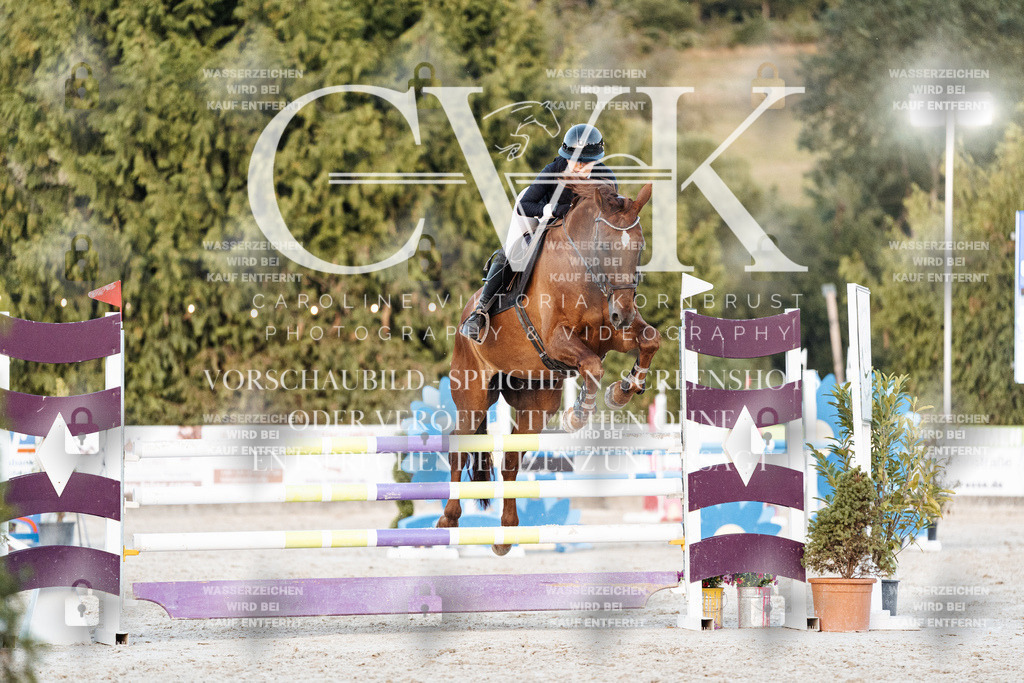 CK901487 | Turnierfotografie Pferdefotografie Trier Rheinland-Pfalz Pferdesport Reitsport Tierfotografie Sportfotografie Pferdevideo Pferdevideografie Equestrianvideography equestrianphotography  - Realisiert mit Pictrs.com