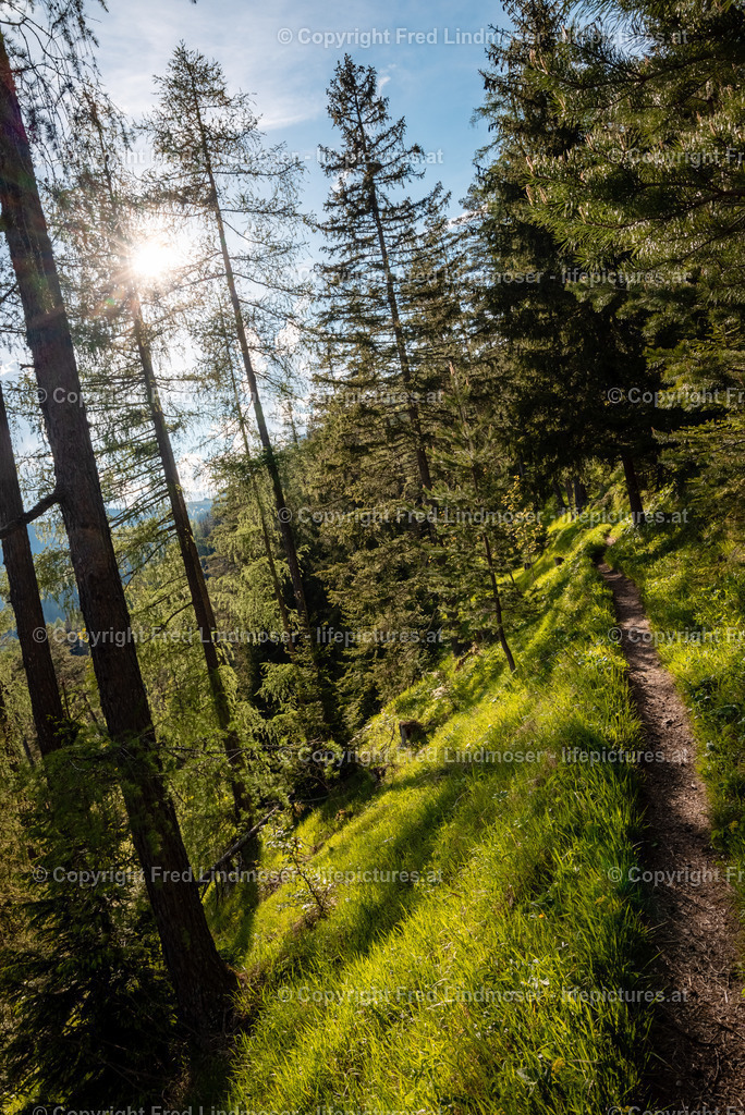 Erlaufsee 02062021-5579 | Fotos und Fotoprodukte - Realisiert mit Pictrs.com