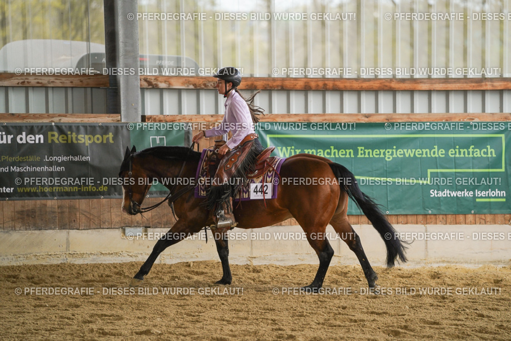 DSC08676 | Pferdegrafie