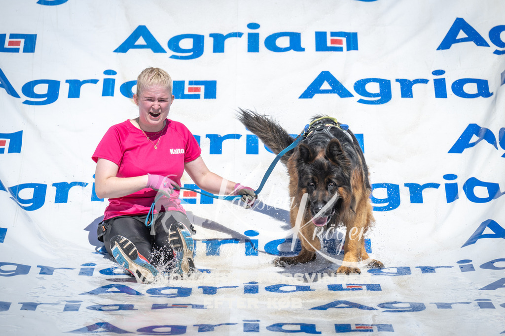 1430_ZZ94426 | kk-dogfotos