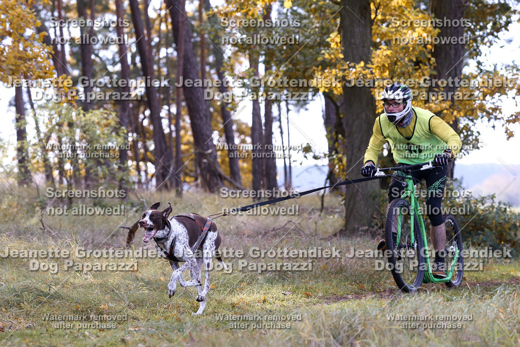 Dog Paparazzi - Elsholz 25 -171 | Dog Paparazzi Jeanette Grottendiek Fotografie & Videografie - Realisiert mit Pictrs.com