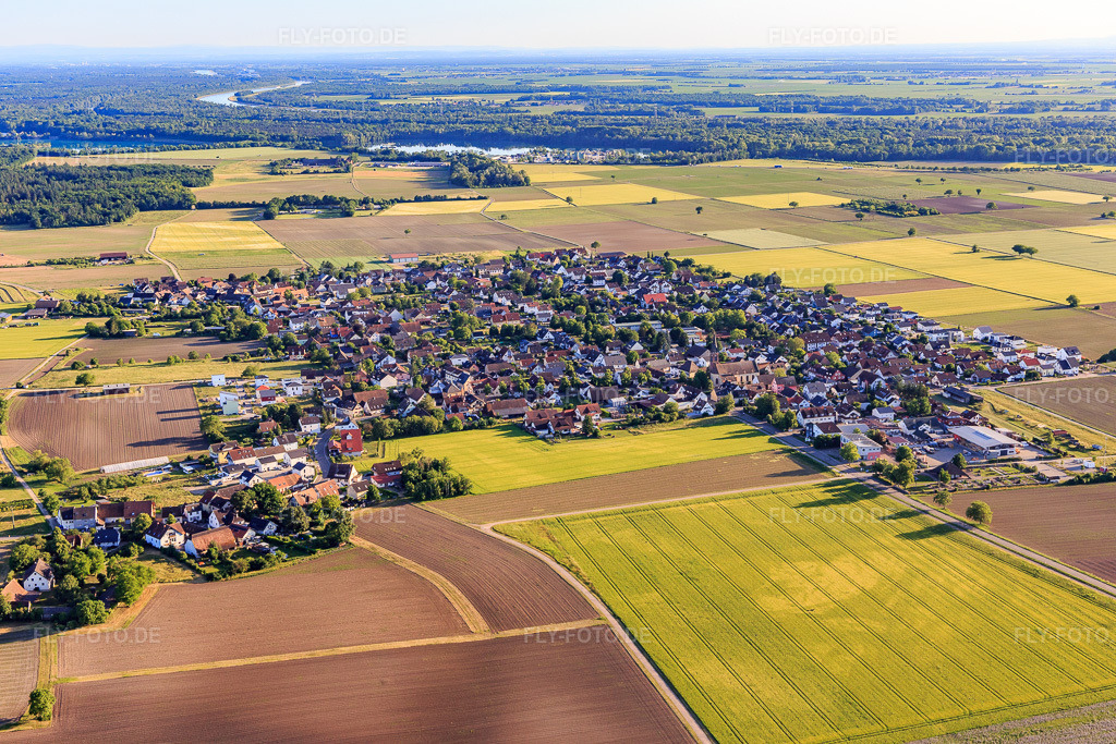 Luftbild: Dorfansicht von Norden im Ortsteil Gündlingen in Breisach im Bundesland Baden-Württemberg in Deutschland. Foto: IMG_147803.jpg vom 30.05.2025 durch Werner Riehm/FLY-FOTO.de