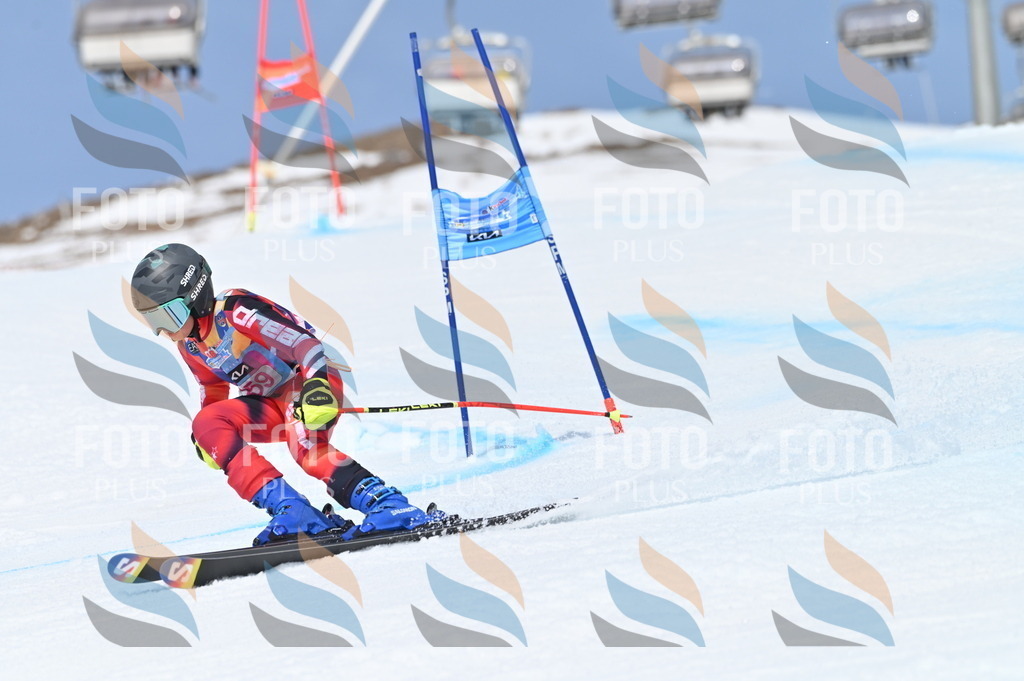 BGV_2058 | holidayphoto