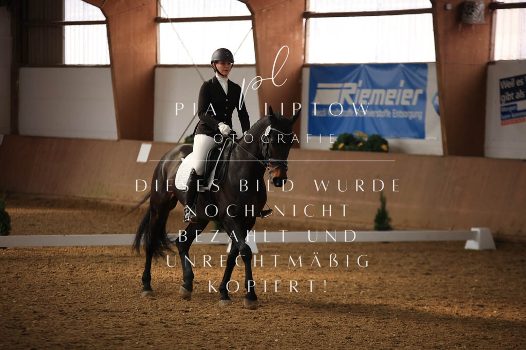 IMGT7699 | pl-fotografie