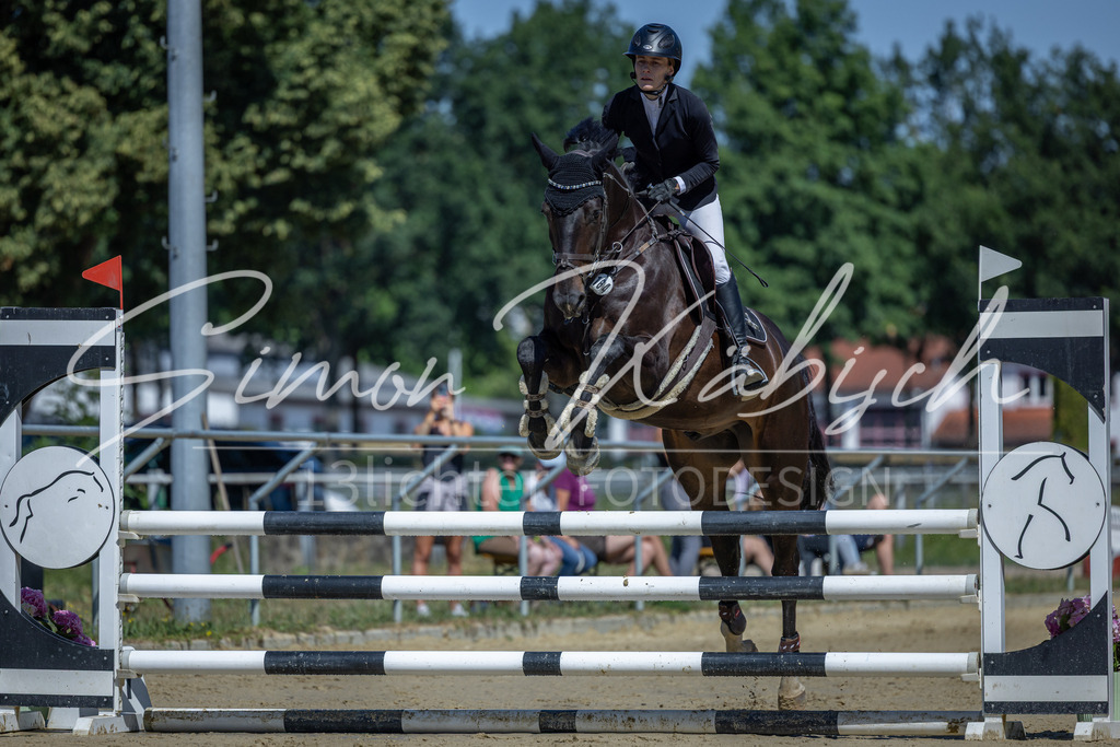 20260704-_3LI7705 | Tierfotografie Pferde, Hunde, Katzen, Haustiere.
Turnierfotografie Reitturniere, Reiten, Springreiten, Dressur in Hanau, dem Main-Kinzig-Kreis und dem Rhein-Main- Gebiet um Frankfurt