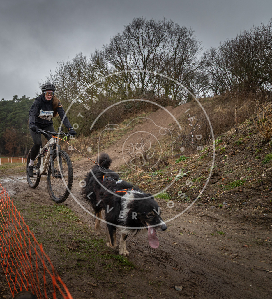 0L8A9028 | Hundefotografie, Tierfotograf, Pfotenfotografie, Fotoshooting Hund, Hunde Portrait, Hundesport, Hundeportraits, Heideshooting, Hunde, Sportfotograf, Hundefotograf, Turnierhundsport, THS,  - Realisiert mit Pictrs.com