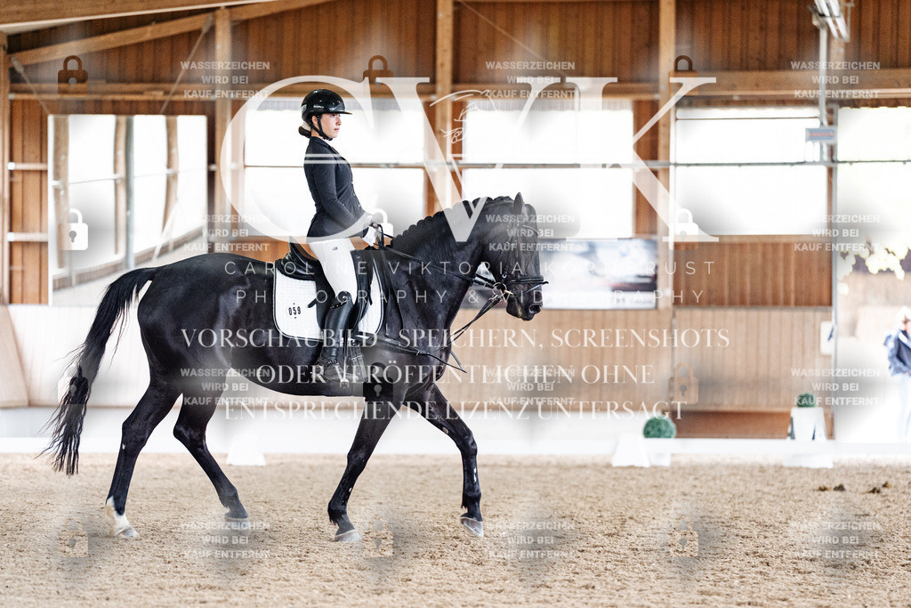CK901029 | Turnierfotografie Pferdefotografie Trier Rheinland-Pfalz Pferdesport Reitsport Tierfotografie Sportfotografie Pferdevideo Pferdevideografie Equestrianvideography equestrianphotography  - Realisiert mit Pictrs.com