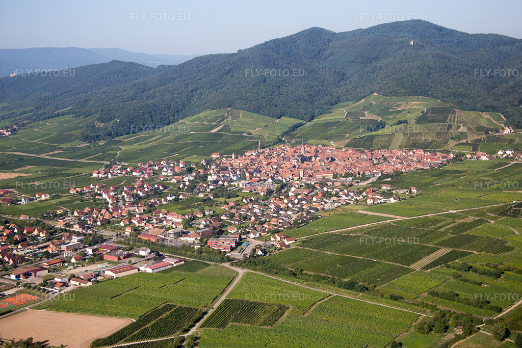 Vue aérienne: Vue du village à Dalhunden dans le département Bas Rhin, France – .Photo: IMG_093259.jpg prise le 16/08/2016 par Werner Riehm/FLY-FOTO.eu – Résolution de l'original: 5472 x 3648 px