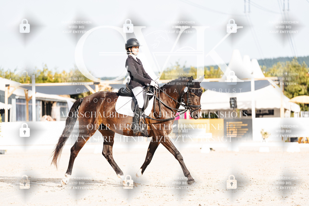 CK903915 | Turnierfotografie Pferdefotografie Trier Rheinland-Pfalz Pferdesport Reitsport Tierfotografie Sportfotografie Pferdevideo Pferdevideografie Equestrianvideography equestrianphotography  - Realisiert mit Pictrs.com