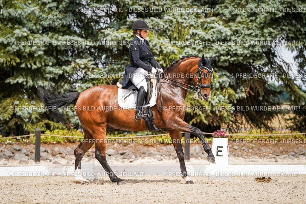 DSC06649 | Pferdegrafie