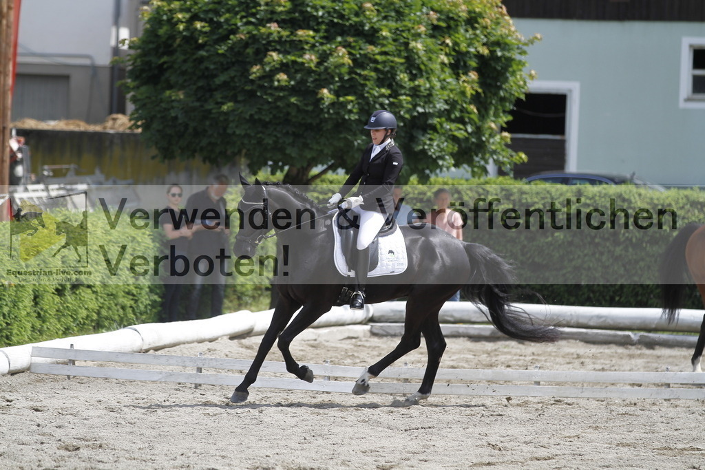 _MG_8518 | equestrian-live-com