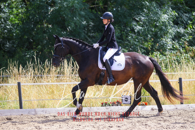 DKP46138 | Turniersportfotografie; Pferdefotografie; Dressurfotografie