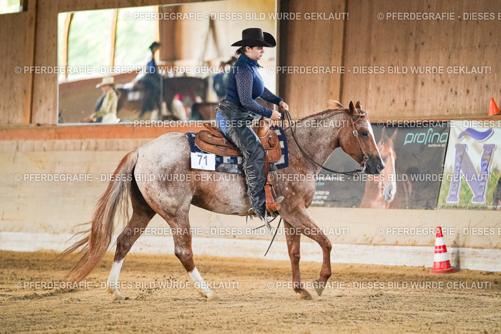 DSC05319 | Pferdegrafie