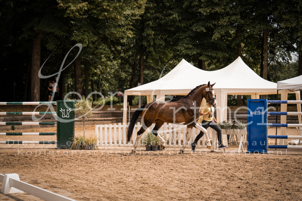 3.Fr00177 | Leoni Ertmer Photography - Realisiert mit Pictrs.com