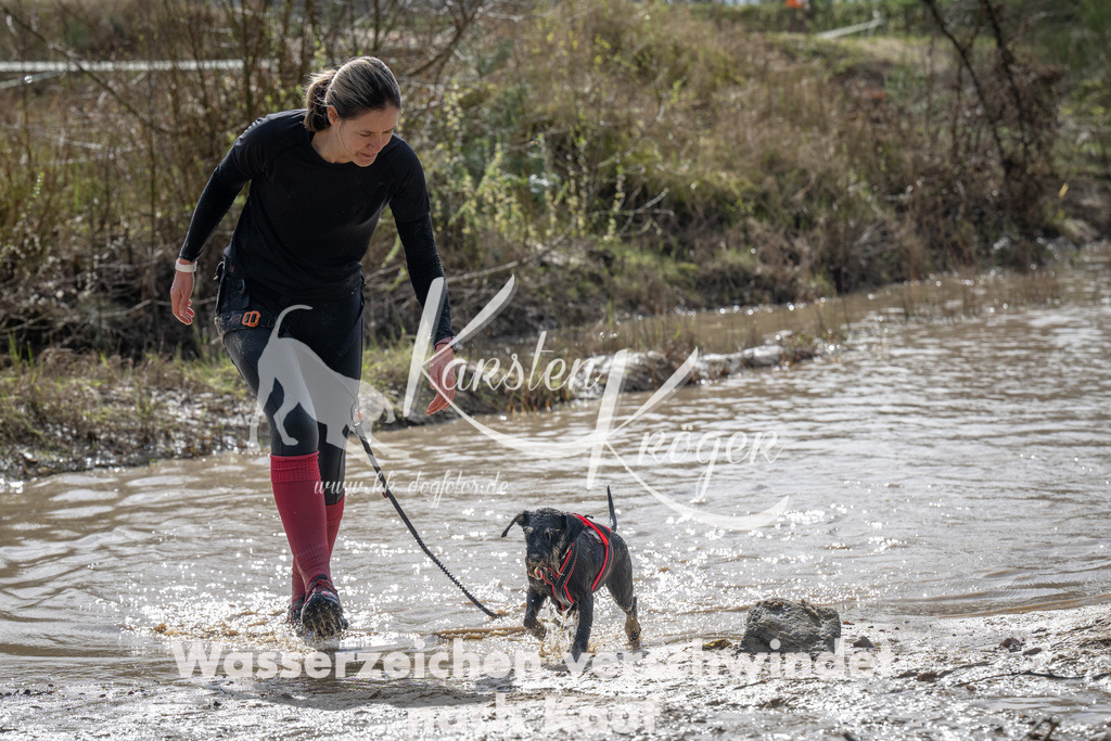 1100_ZZ92734 | kk-dogfotos