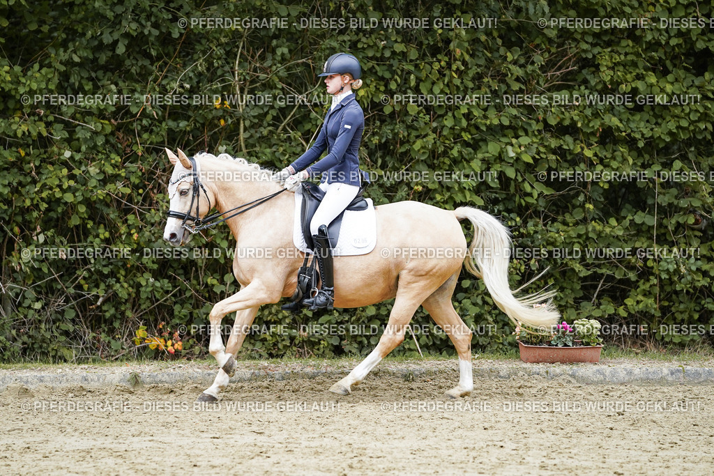 DSC07560 | Pferdegrafie