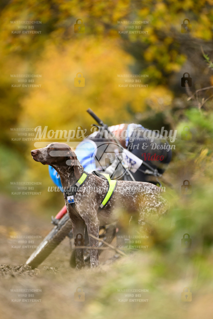 MompixPhotography_ICF_WC_2024_SA_Bike_-400 | PayLife