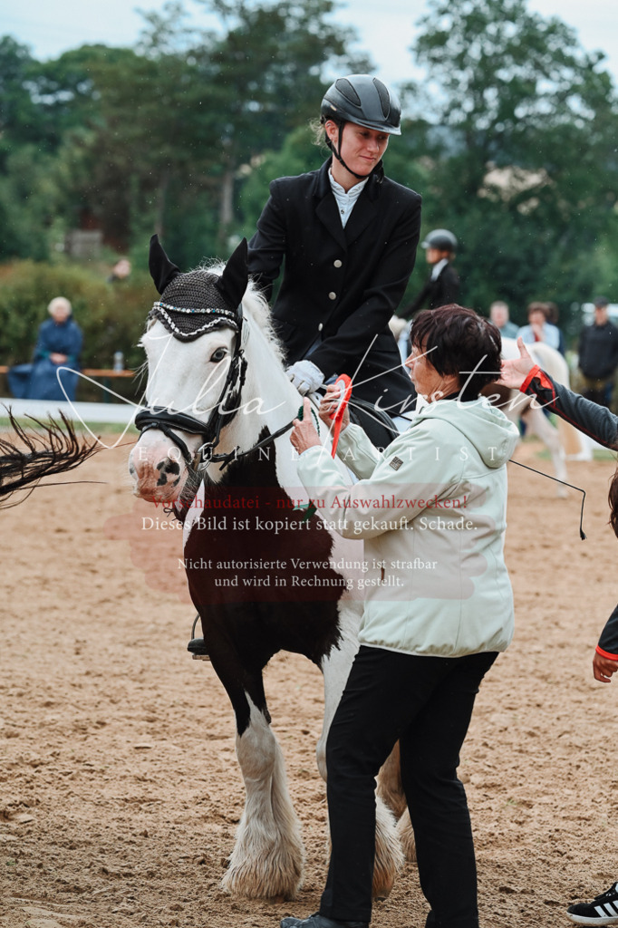 DSC_7271 | Pferde- und Turnierfotografie in Westsachsen. Pferdeportraits, Auftragszeichnungen und intuitive Kunst.