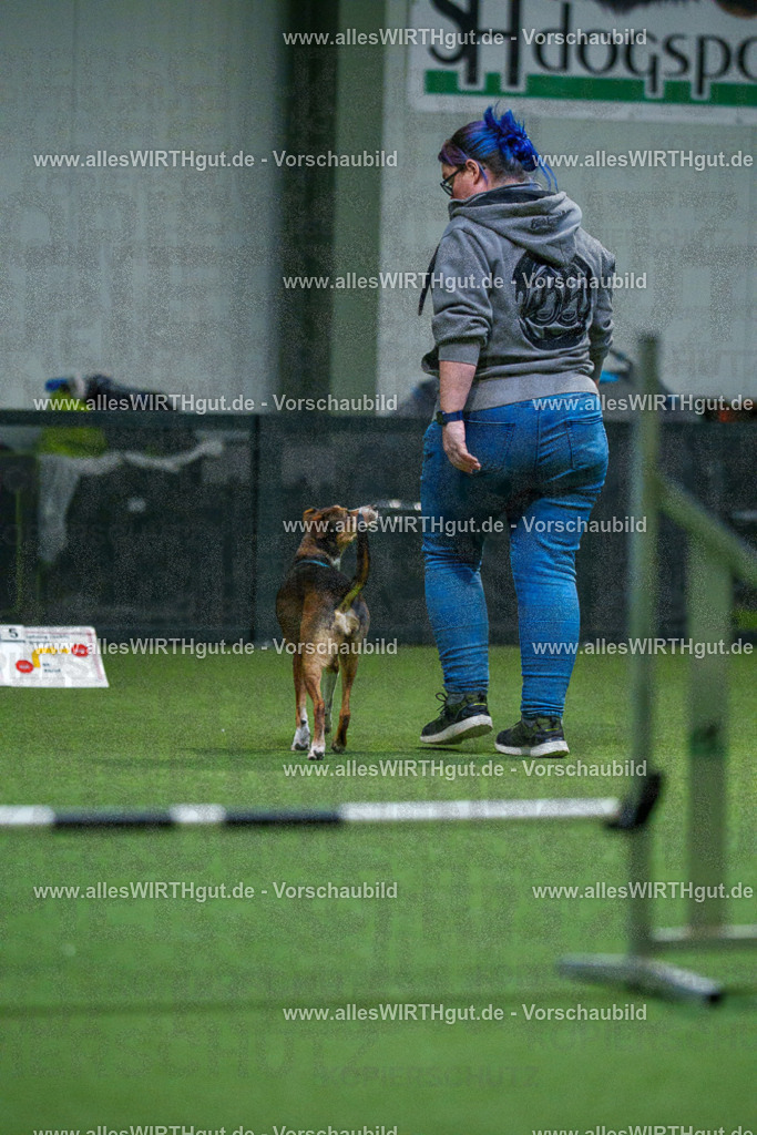 7R503787 | Professionelle Tierfotografie in Mönchengladbach von Daniel Wirth (allesWIRTHgut). Liebevolle & natürliche Bilder von Hunden & Katzen für unvergessliche Erinnerungen.
