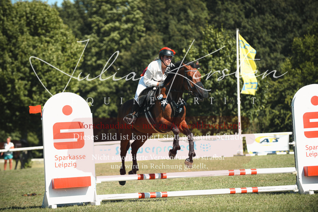 DSC_7406 | Pferde- und Turnierfotografie in Westsachsen. Pferdeportraits, Auftragszeichnungen und intuitive Kunst.