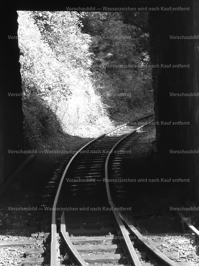 Schiene unter einer Brücke | online Fotogalerie mit schwarz-weiß Fotografien und Shop für zeitlose  Poster und Leinwände in stilvollem schwarz weiß  - Realisiert mit Pictrs.com