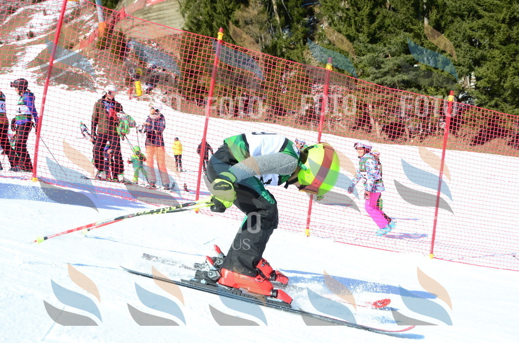 C5570 | holidayphoto