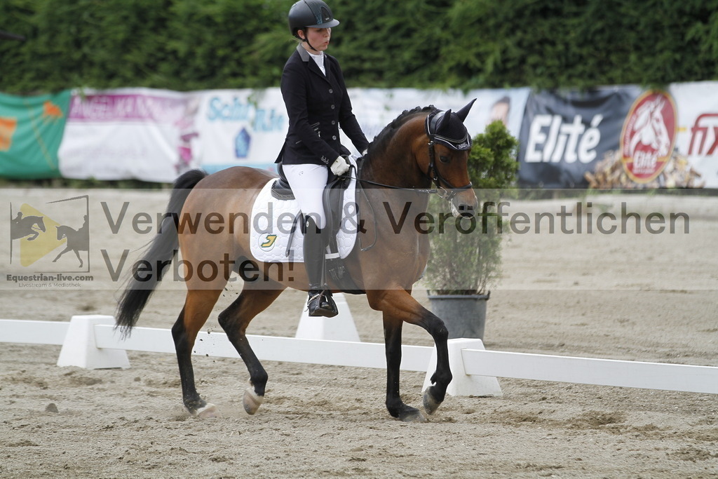_MG_1724 | equestrian-live-com