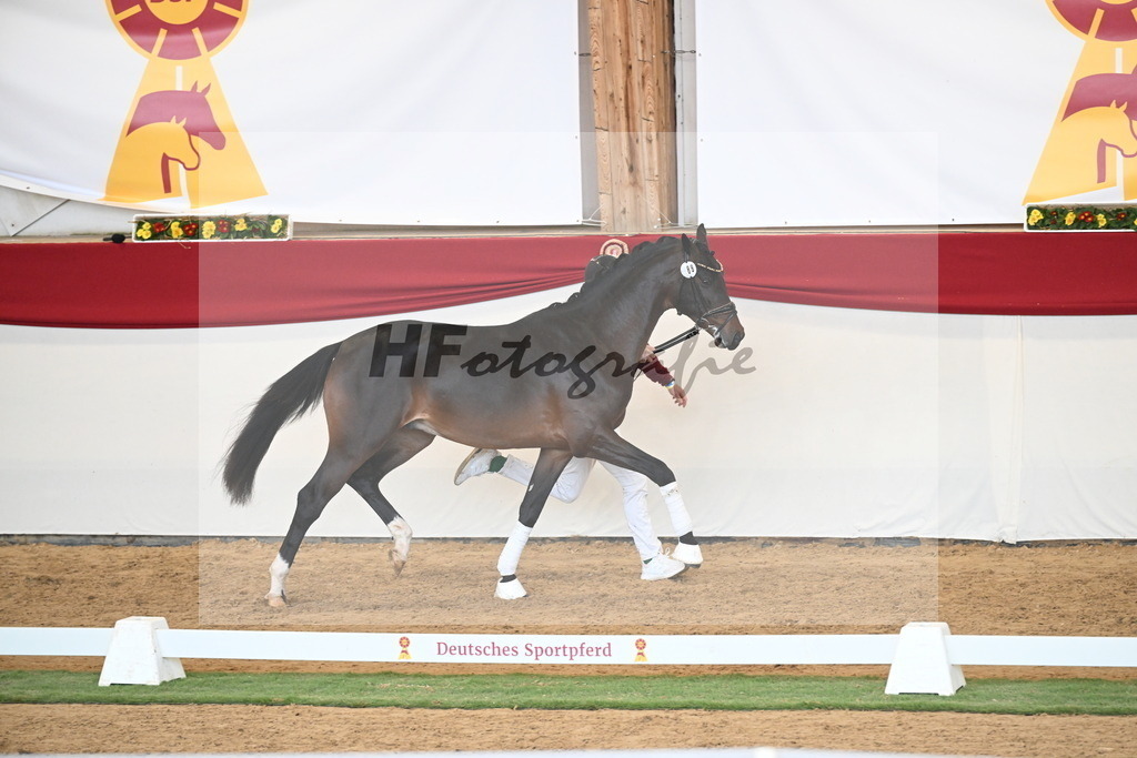 Kat.-Nr. 89 v. Vivaldon_Beckmann_2250838 | hf-fotografie - Realisiert mit Pictrs.com
