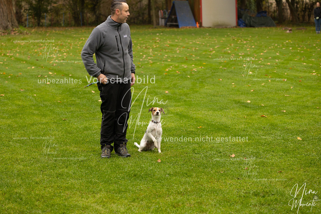 _16A0587 | Einzigartige Fotos von Hunden & Menschen –Actionfotos, Portraits, Vereinsaufnahmen & Paarshootings – authentisch, lebendig & mit Herz.