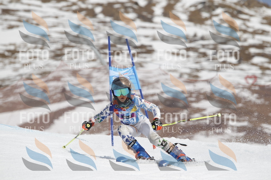 _U3G2659 | holidayphoto