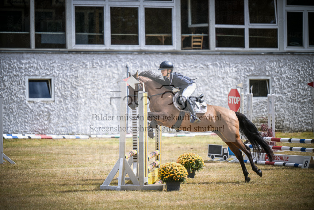 DOS_0597 | Entdecke hochwertige Reitturnierfotos von Foto Oger. Professionell, emotional und authentisch – jetzt Lieblingsmomente im Shop bestellen.Deutschlandweite Turnierfotografie. - Realisiert mit Pictrs.com