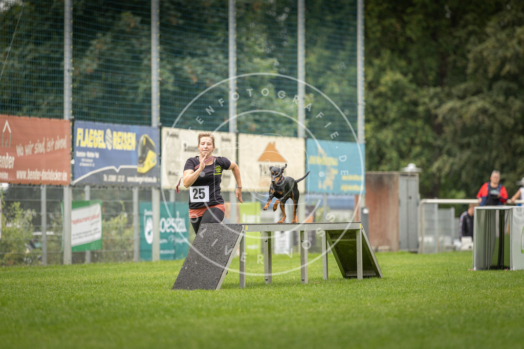 Pfotenfotografie_DV3A8556 | Hundefotografie, Tierfotograf, Pfotenfotografie, Fotoshooting Hund, Hunde Portrait, Hundesport, Hundeportraits, Heideshooting, Hunde, Sportfotograf, Hundefotograf, Turnierhundsport, THS,  - Realisiert mit Pictrs.com