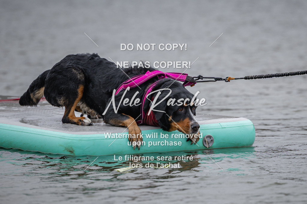 nelerasche_Hulsbeek_Sa1430-1515_298 | nelerasche