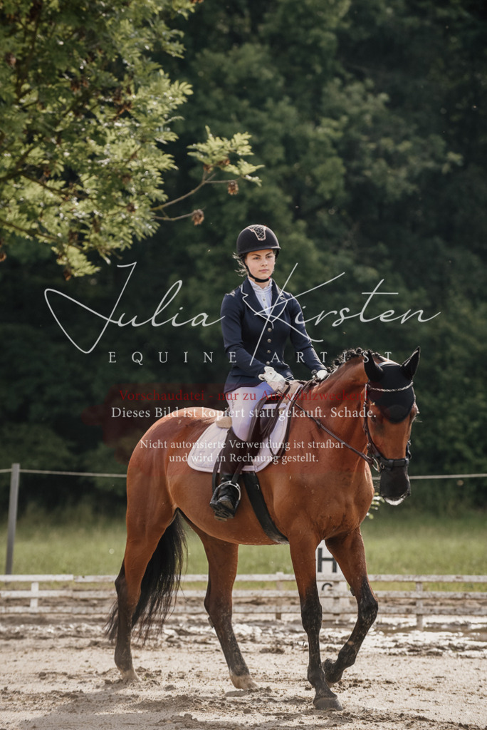 DSC_8442 | Pferde- und Turnierfotografie in Westsachsen. Pferdeportraits, Auftragszeichnungen und intuitive Kunst.