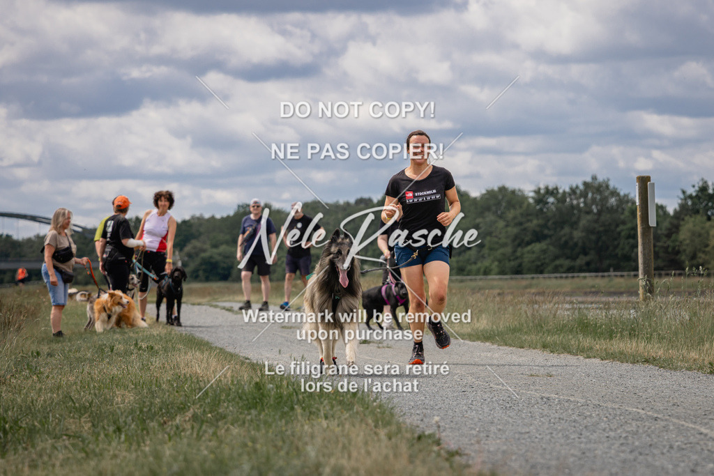 nelerasche_BuHu2026_SaCC1100-1200_212 | nelerasche