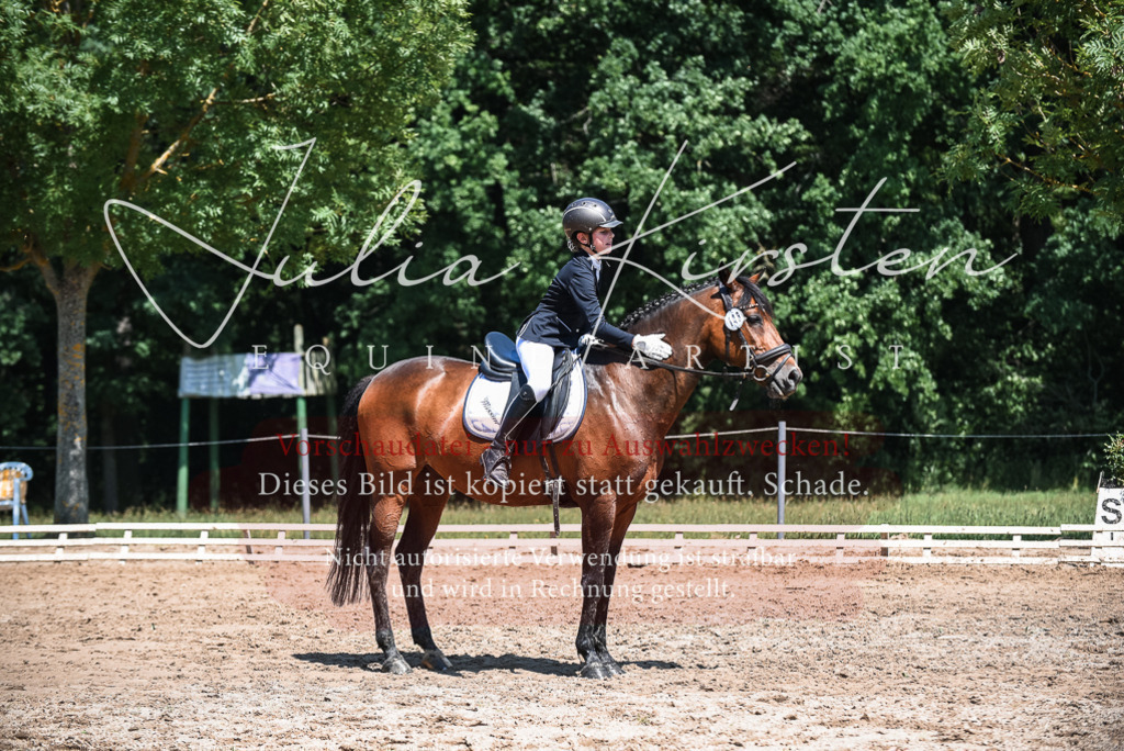 DSC_2894 | Pferde- und Turnierfotografie in Westsachsen. Pferdeportraits, Auftragszeichnungen und intuitive Kunst.