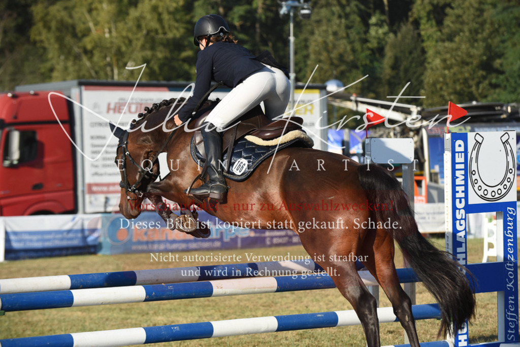 DSC_4911 | Pferde- und Turnierfotografie in Westsachsen. Pferdeportraits, Auftragszeichnungen und intuitive Kunst.