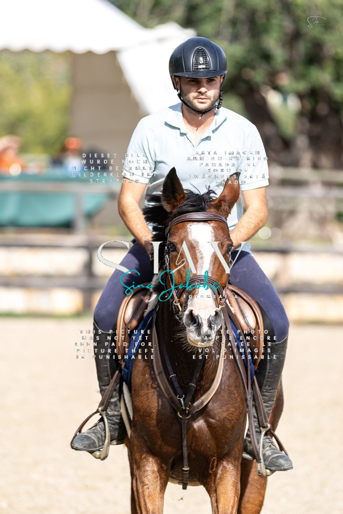 IMG_3446 | s-jay-photography - Realisiert mit Pictrs.com