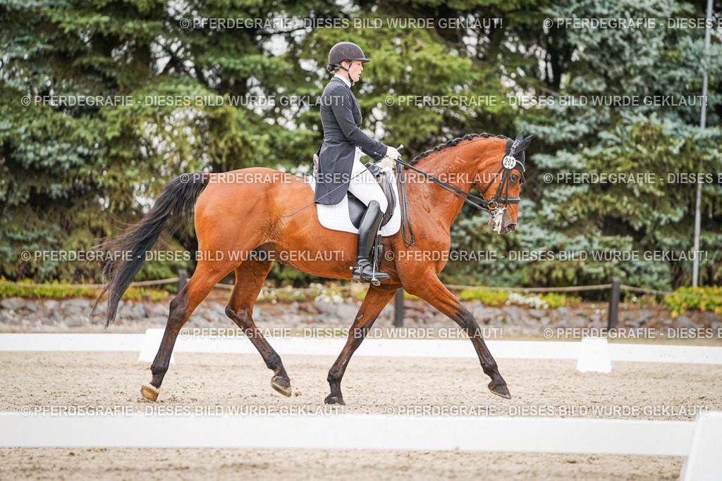 DSC07491 | Pferdegrafie