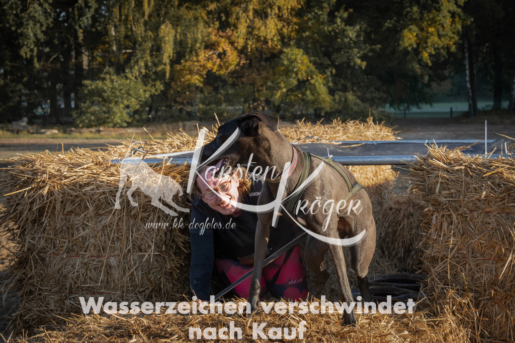 0933_ZZ93551 | kk-dogfotos