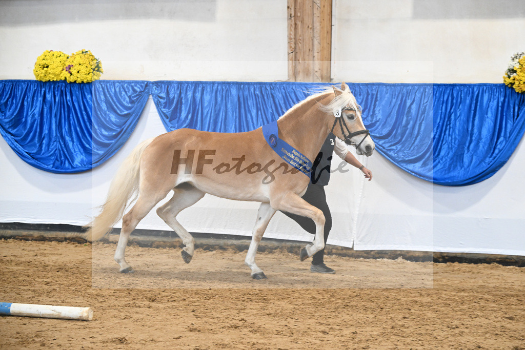 Bl. Band Kat-Nr. 3 Lorena v. Sterlington_Weber_48251599 | hf-fotografie - Realisiert mit Pictrs.com