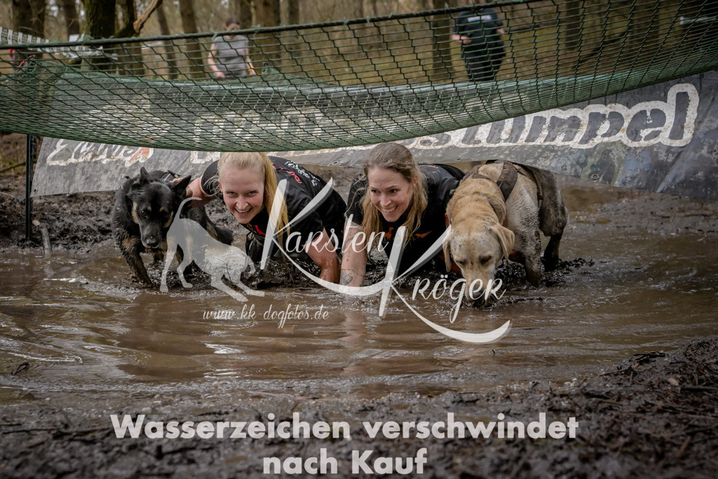 1008_ZZ99781 | kk-dogfotos