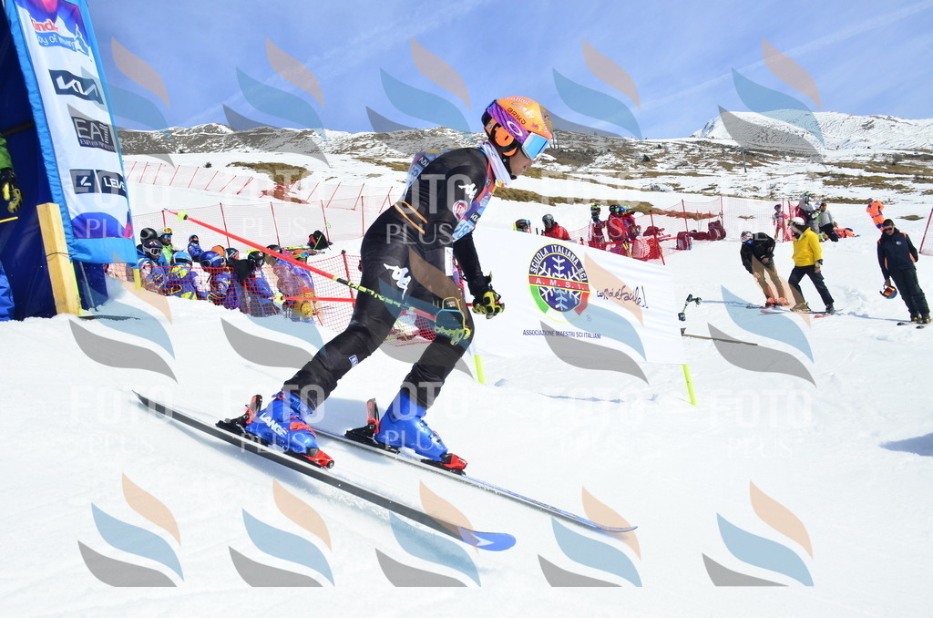 _ELE1267 | holidayphoto