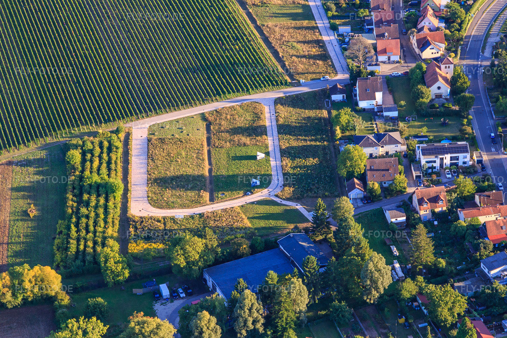 Luftbild: Erschliessung des Neubaugebiet Luise-Unger-Straße im Ortsteil Wollmesheim in Landau im Bundesland Rheinland-Pfalz in Deutschland. Foto: IMG_149527.jpg vom 31.08.2025 durch Werner Riehm/FLY-FOTO.de