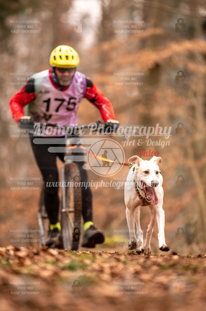 AKM_ST_2023_SAM_Scooter-49 | PayLife