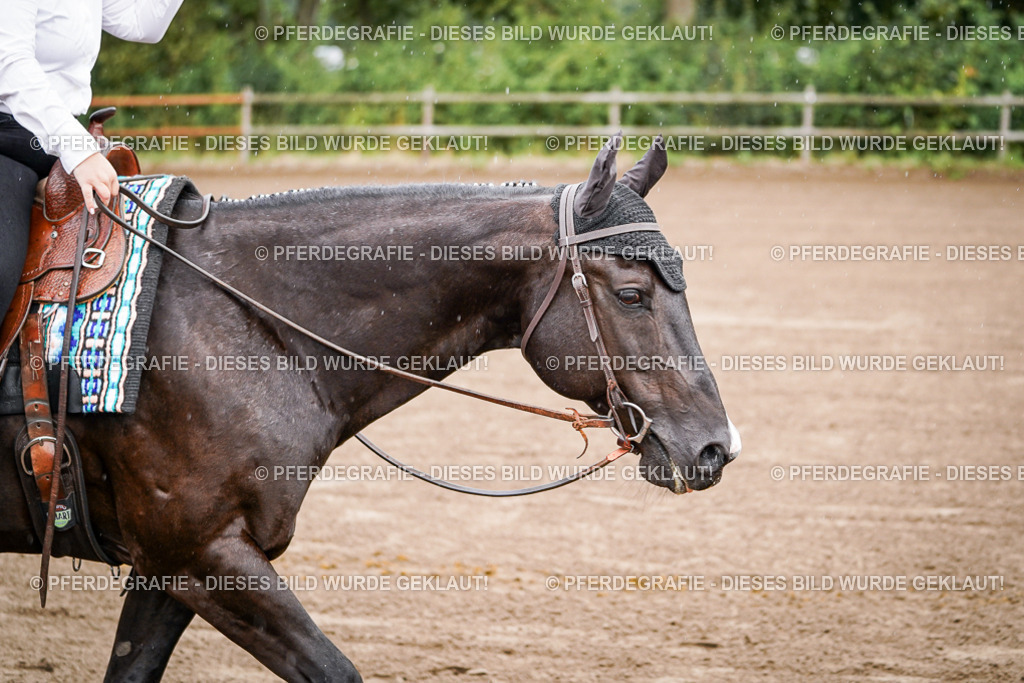 DSC05464 | Pferdegrafie