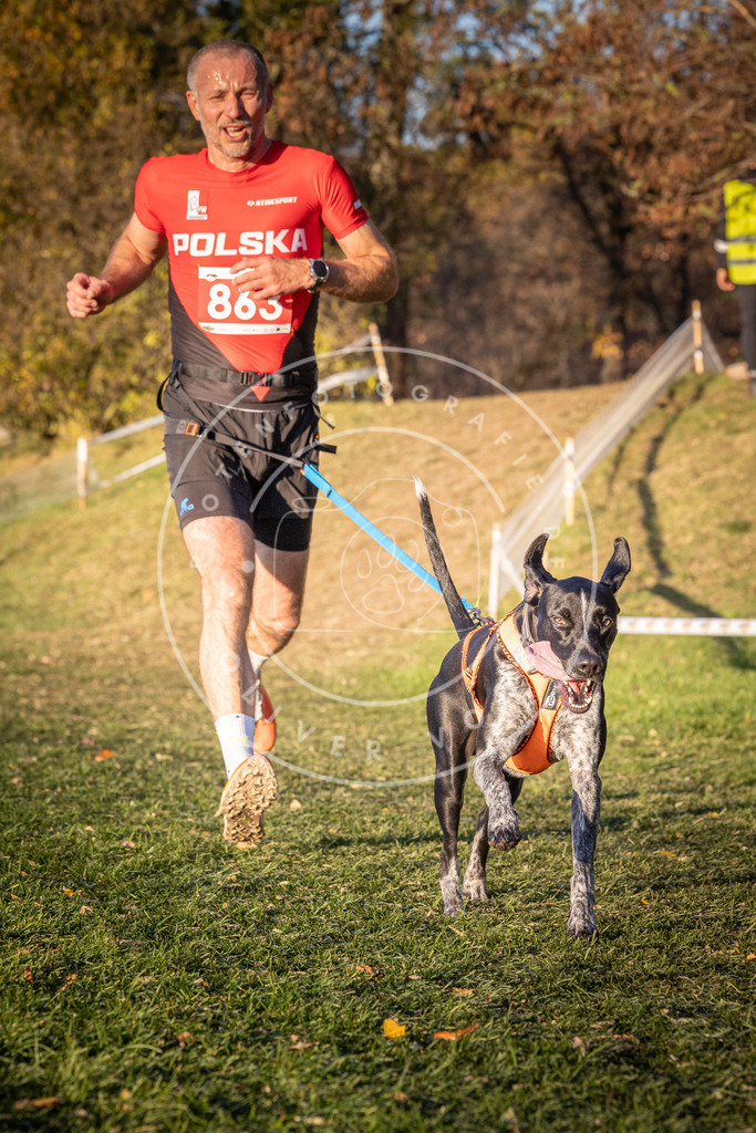 CaniXpix_0L8A1026 | Hundefotografie, Tierfotograf, Pfotenfotografie, Fotoshooting Hund, Hunde Portrait, Hundesport, Hundeportraits, Heideshooting, Hunde, Sportfotograf, Hundefotograf, Turnierhundsport, THS,  - Realisiert mit Pictrs.com