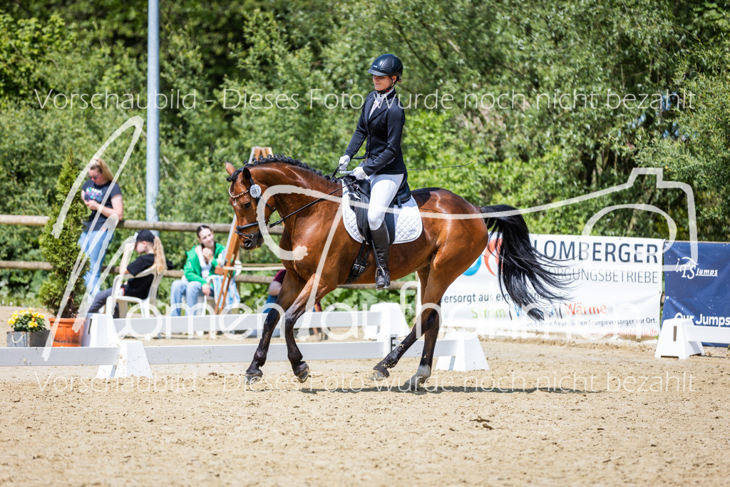 Donop24-EDre-009 | MomenTaufnahmen Pferdesportfotos