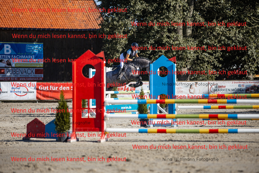BK1A7513 | Turnierbilder Turnierfotos Nina Hüffmann Turnierfotografie Pferdefotografie Tierzeichnung Haustierzeichnung Pferdezeichnung Hundezeichnung Videograf  - Realisiert mit Pictrs.com